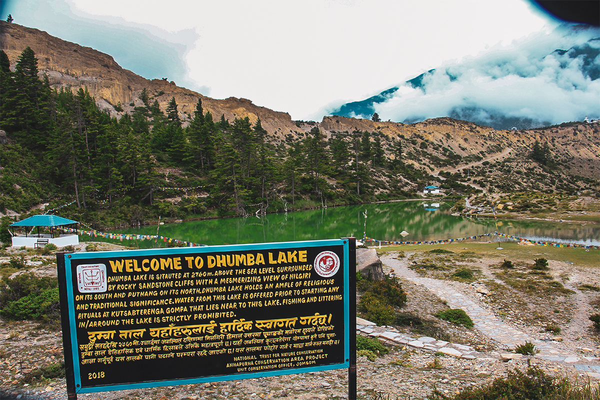 Dhumba Lake Mustang